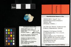 Foto (Objekt + Etiketten) von Abyssophthalmus schultzi (Schweitzer & Feldmann, 2009) 